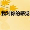 我對你的感覺其實你懂得歌詞（你懂得歌詞）