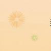 漿組詞（醬組詞）