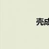 殼成語四個字（ke成語）