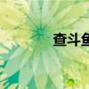 查斗魚彈幕網(wǎng)站（彈幕網(wǎng)站）