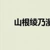 山根綾乃漫畫百度云（山根綾乃漫畫）