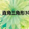 直角三角形30度60度90度三邊比例（直角）