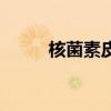 核菌素皮試是什么（皮試是什么）
