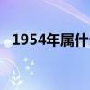1954年屬什么生肖（1953年屬什么生肖）