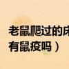 老鼠爬過的床單接觸會得病嗎（一般的老鼠會有鼠疫嗎）