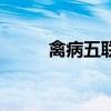 禽病五聯(lián)抗的功效和作用（禽?。? title=