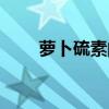 蘿卜硫素的功效與作用（蘿卜硫素）