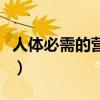 人體必需的營養(yǎng)素有多少（人體必需的營養(yǎng)素）