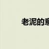 老泥的意思（老泥叟是什么意思）