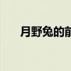 月野兔的前世母親（月野兔媽媽圖片）