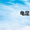 龜足巨鎧圖片（龜足巨鎧）