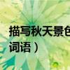 描寫秋天景色的詞語有哪些（描寫秋天景色的詞語）