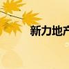 新力地產(chǎn)排第幾（新力地產(chǎn)排名）