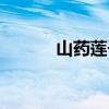 山藥蓮子粥圖片（山藥蓮子粥）