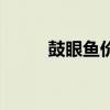 鼓眼魚(yú)價(jià)格多少錢(qián)一斤（鼓眼魚(yú)）