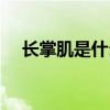 長(zhǎng)掌肌是什么意思（掌長(zhǎng)肌有什么好處）