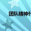 團(tuán)隊(duì)精神什么意思（什么叫團(tuán)隊(duì)精神）
