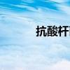 抗酸桿菌涂片檢查（抗酸桿菌）
