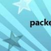 packets翻譯中文（packet）