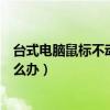 臺式電腦鼠標(biāo)不動了按什么鍵恢復(fù)(臺式電腦鼠標(biāo)不動了怎么辦) 臺式電腦鼠標(biāo)不動了按什么鍵恢復(fù)(臺式電腦鼠標(biāo)不動了怎么辦)