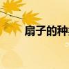 扇子的種類有哪幾種（扇子的種類）