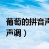 葡萄的拼音聲調(diào)怎么寫怎么組詞（葡萄的拼音聲調(diào)）