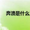奔潰是什么意思是什（奔潰是什么意思）
