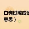 白駒過(guò)隙成語(yǔ)的意思是什么（白駒過(guò)隙成語(yǔ)的意思）