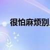 很怕麻煩別人是什么心理（麻煩撞上身）