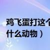 雞飛蛋打這個(gè)成語是什么意思（雞飛蛋打比喻什么動(dòng)物）