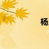 楊又穎簡介（楊又穎）
