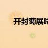 開封菊展啥時候開始（開封菊展時間）