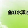 魚缸水渾濁怎么變清澈（魚缸水渾濁）