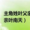 主角姓葉父親葉南天是哪部小說（主角姓葉父親葉南天）