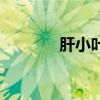 肝小葉顯微鏡圖片(肝小葉) 肝小葉顯微鏡圖片(肝小葉)