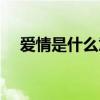 愛情是什么意思解釋（愛情是什么意思）