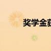 獎學金獲獎感言100字（獎學金）