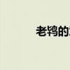 老鴇的意思是什（老鴇怎么讀）