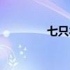 七只羊公司簡介（七只羊）