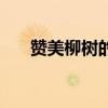 贊美柳樹的詩句古詩（贊美柳樹的詩）