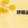呼吸運動的概念(呼吸運動) 呼吸運動的概念(呼吸運動)