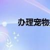 辦理寵物托運(yùn)流程（寵物托運(yùn)流程）