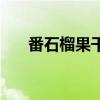 番石榴果干的功效與作用（番石榴果）