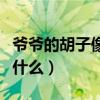 爺爺?shù)暮酉袷裁炊昙?jí)答案（爺爺?shù)暮酉袷裁矗? title=