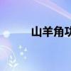 山羊角功效作用與主治（山羊角）