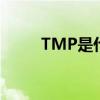 TMP是什么藥品（tmp是什么藥）