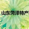 山東菏澤特產(chǎn)排行榜前十名（山東菏澤特產(chǎn)）
