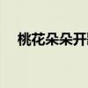 桃花朵朵開歌詞暗示（桃花朵朵開歌詞）