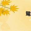 鴛鴦藤花期（鴛鴦藤）