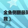 金魚側(cè)翻最簡(jiǎn)單的救法（金魚側(cè)翻快死怎么拯救）